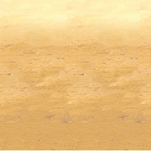 Desert Backdrop