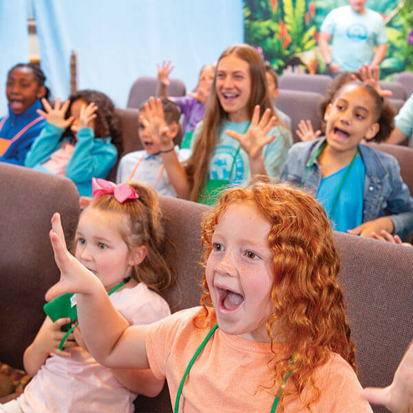 Rainforest Falls Blog