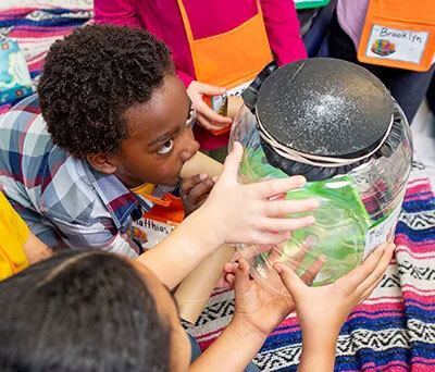 Scuba Imagination Station