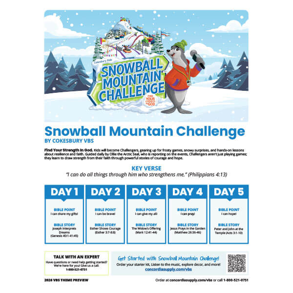 Snowball Mountain Challenge VBS Theme Preview