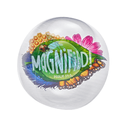 Magnified Decorating