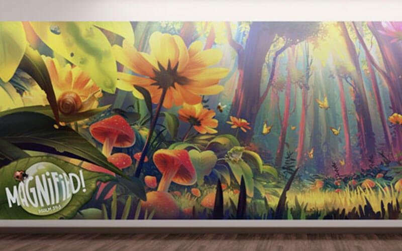 Magnified Decorating Super Duper Wall