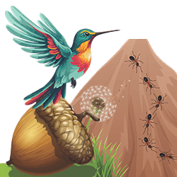 Magnified VBS Displays