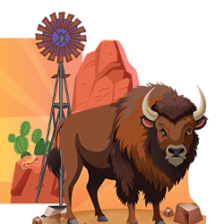 Wonder Junction Displays