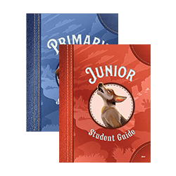Wonder Junction Student Guide