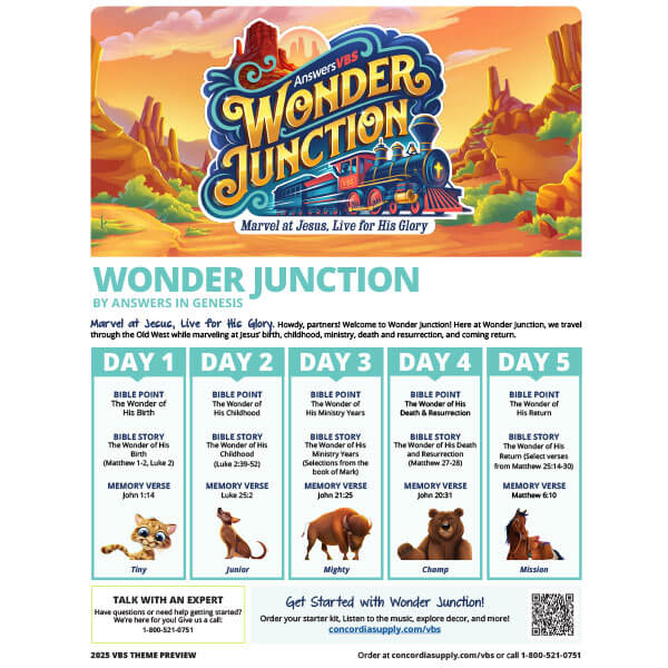 Wonder Junction VBS Theme Preview